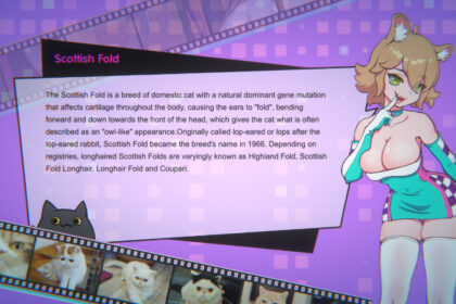 Miss Neko game